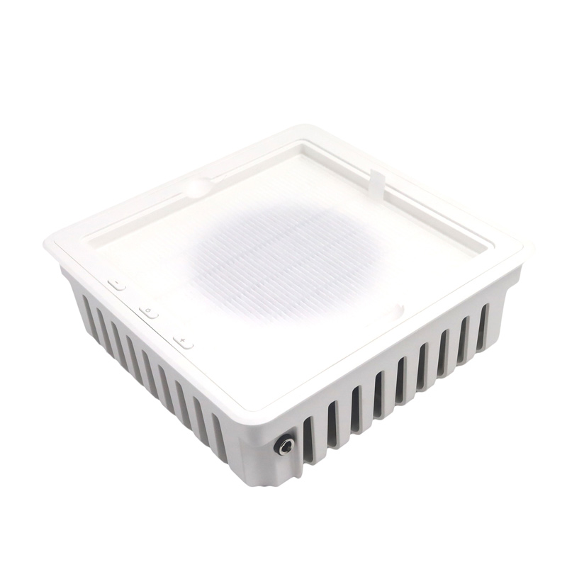 პროფესიონალური ფრჩხილის მტვრის ამწე